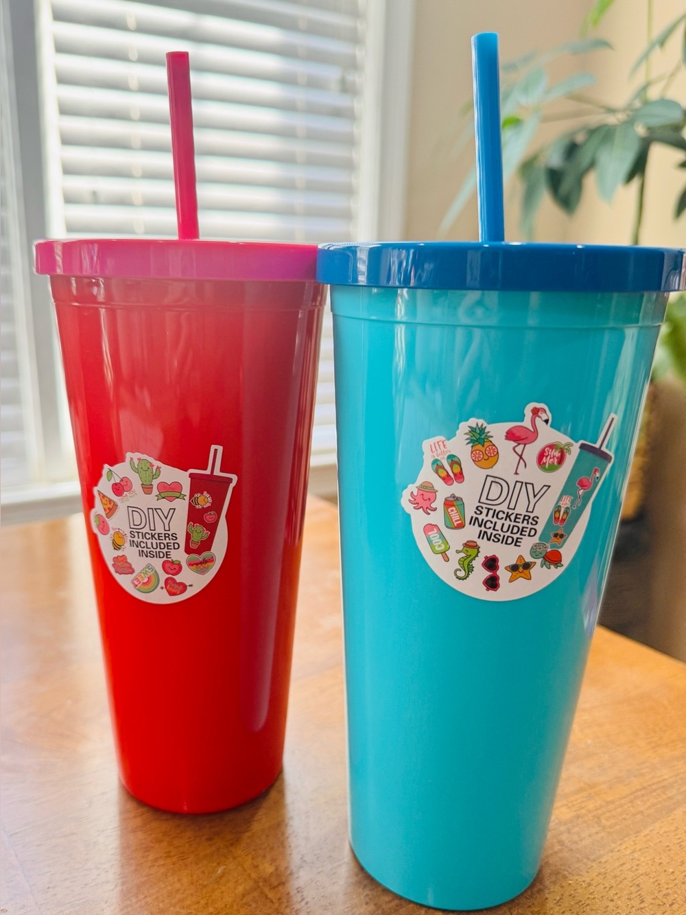 Set of 2, 24 oz plastic tumblers; Red and Blue with DIY Stickers Included